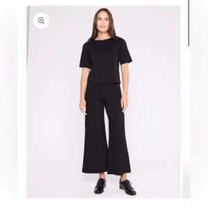 Ripley Radar Los Angeles Black Ponte Knit Wide Leg Pant: Cropped S 2